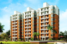 ����½Ȫ������